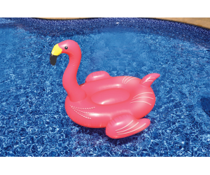 Giant Flamingo