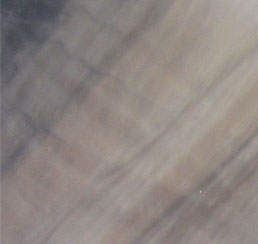 Acrylic shell color: Tuscan Sun
